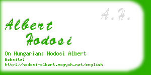 albert hodosi business card